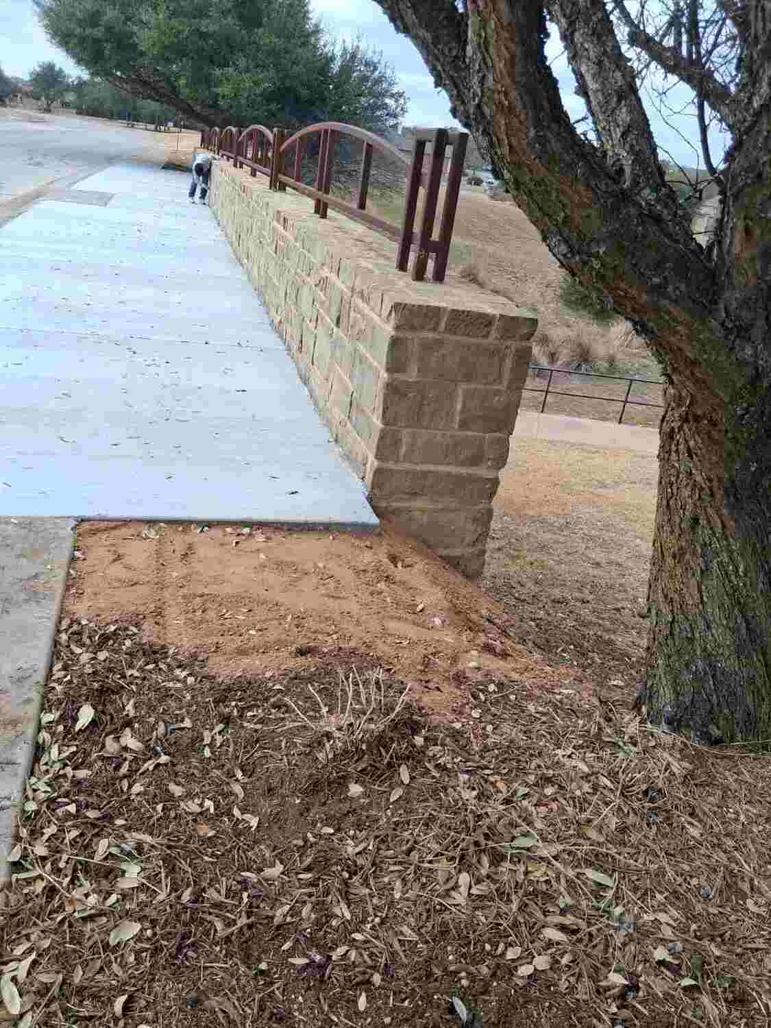La banqueta terminada, bajo el árbol