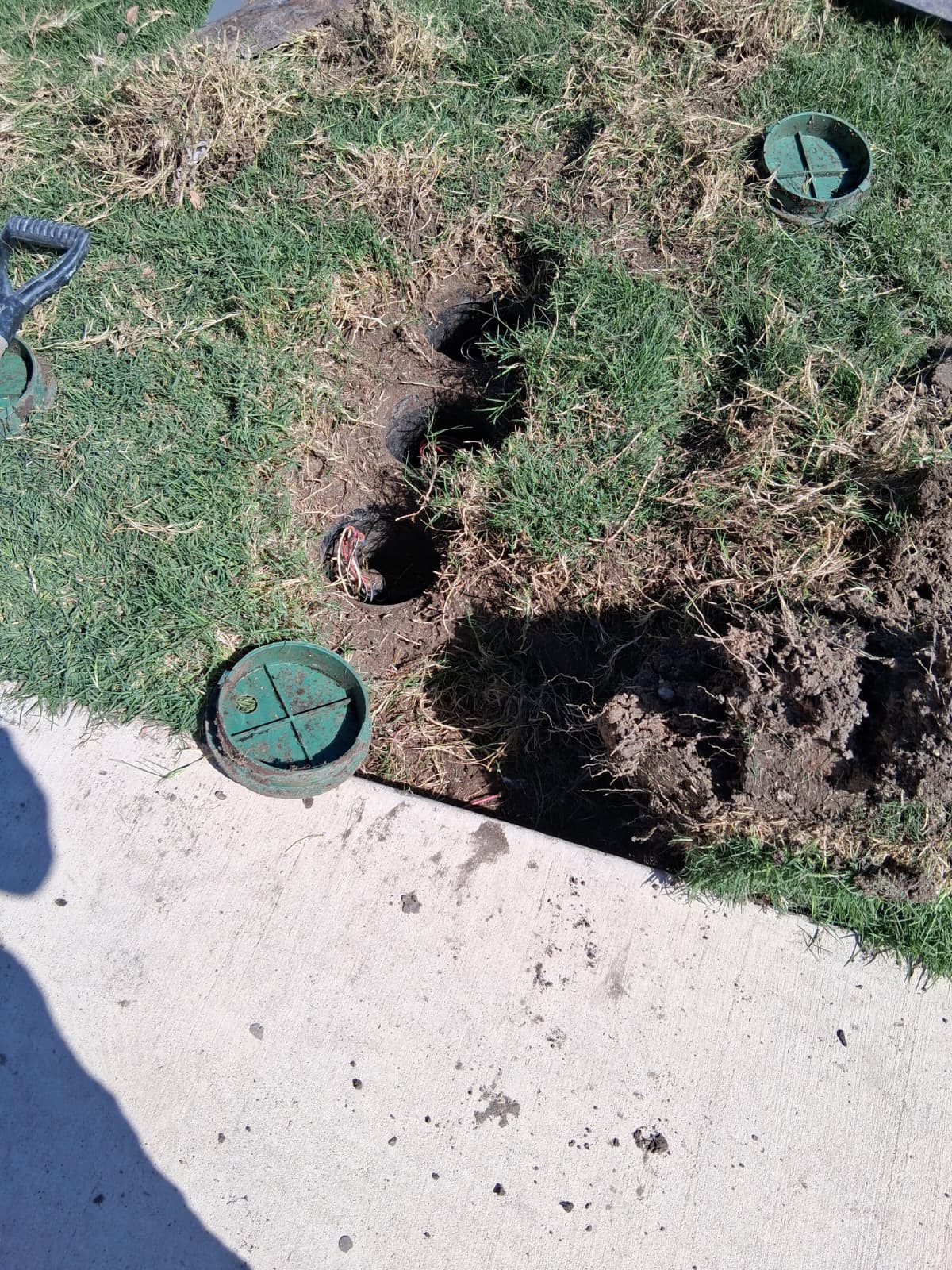 Poda de arbustos y árboles